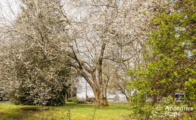 Ferienhaus Libramont-Chevigny 42 Pers. Ardennen