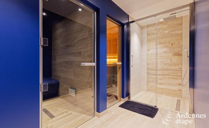 Ferienhaus Libramont-Chevigny 15 Pers. Ardennen Wellness