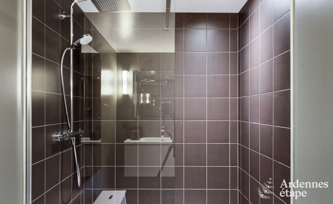 Ferienhaus Libramont-Chevigny 15 Pers. Ardennen Wellness