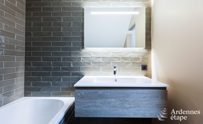 Ferienhaus Libramont-Chevigny 15 Pers. Ardennen Wellness