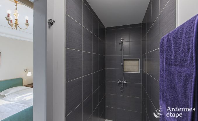 Schloss Libramont-Chevigny 22 Pers. Ardennen Wellness