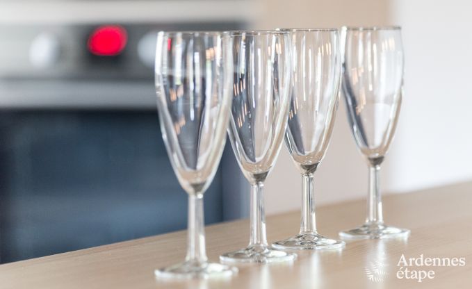 Cottage Libramont-Chevigny 9 Pers. Ardennen Behinderten gerecht