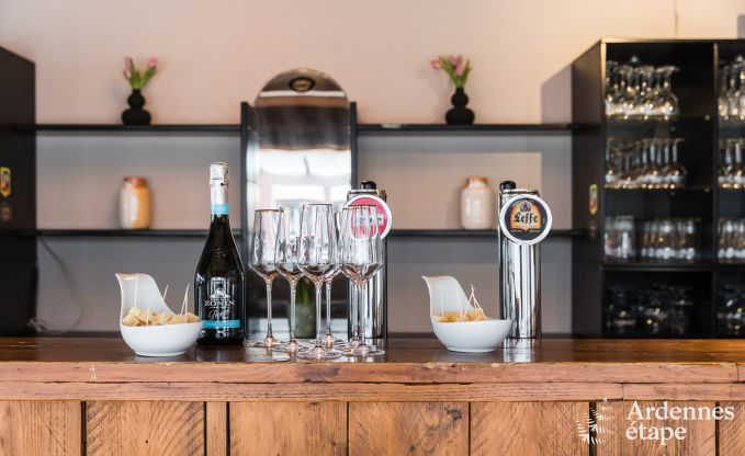 Ferienhaus Libramont-Chevigny 42 Pers. Ardennen