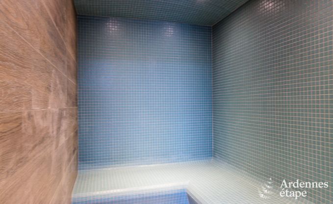 Ferienhaus Libramont-Chevigny 9 Pers. Ardennen Wellness