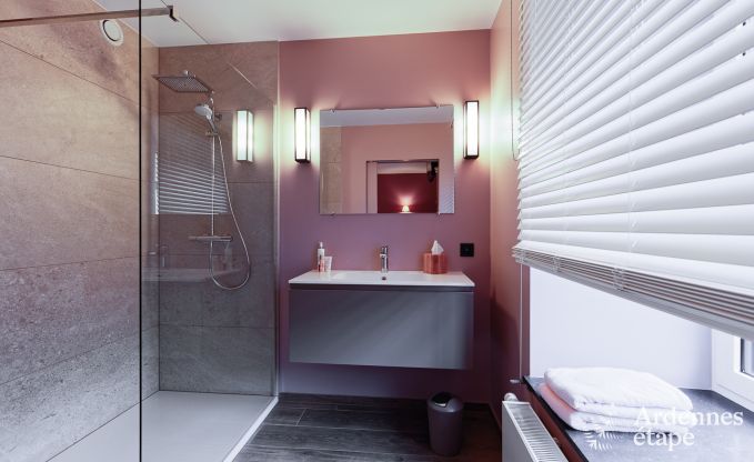 Ferienhaus Libramont-Chevigny 9 Pers. Ardennen Wellness