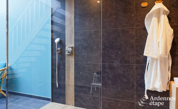 Ferienhaus Libramont-Chevigny 9 Pers. Ardennen Wellness