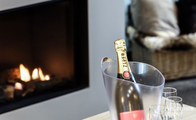 Ferienhaus Libramont-Chevigny 9 Pers. Ardennen Wellness