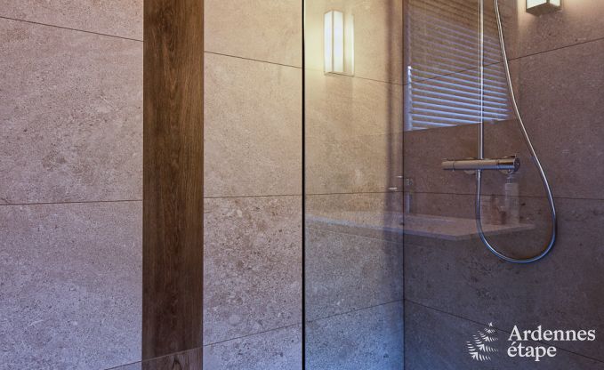 Ferienhaus Libramont-Chevigny 9 Pers. Ardennen Wellness