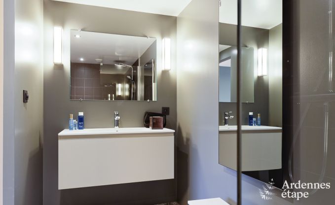 Ferienhaus Libramont-Chevigny 9 Pers. Ardennen Wellness