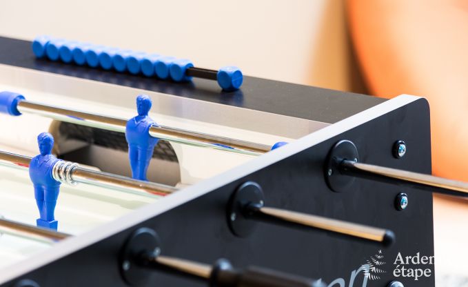 Ferienhaus Libramont-Chevigny 7/9 Pers. Ardennen Wellness