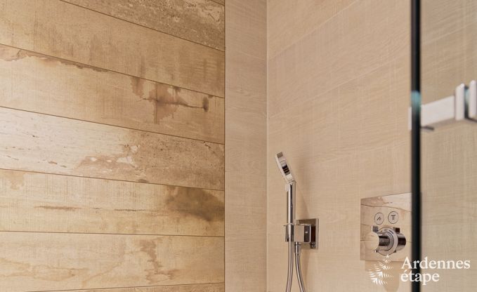 Ferienhaus Libramont-Chevigny 7/9 Pers. Ardennen Wellness