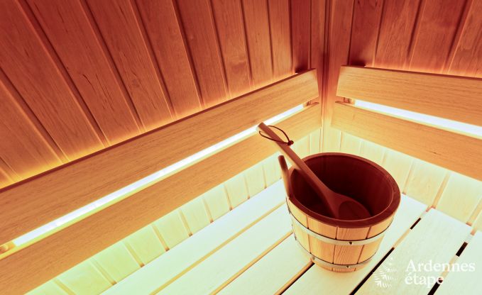 Ferienhaus Libramont-Chevigny 7/9 Pers. Ardennen Wellness