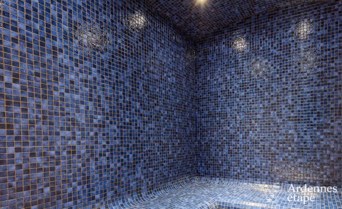 Ferienhaus Libramont-Chevigny 7/9 Pers. Ardennen Wellness