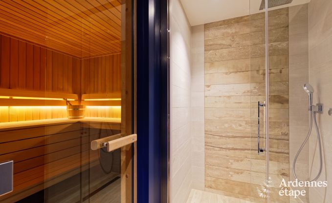 Ferienhaus Libramont-Chevigny 15 Pers. Ardennen Wellness