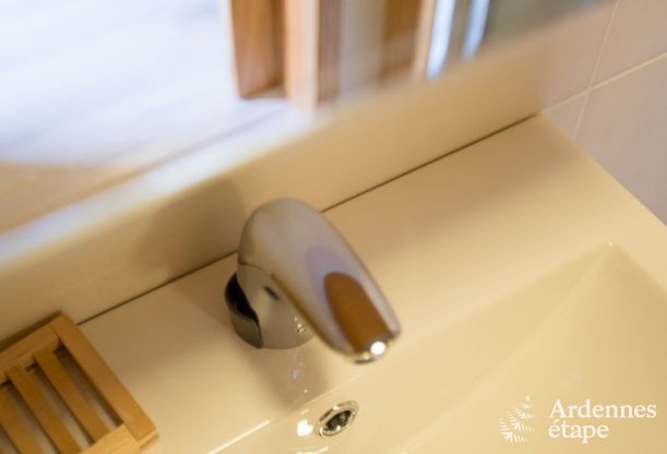 Ferienhaus Libramont 15 Pers. Ardennen