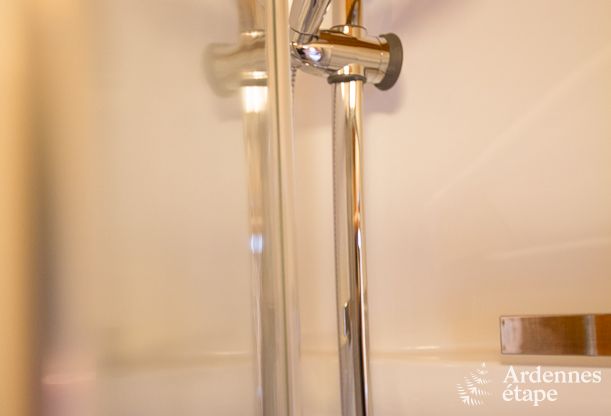 Ferienhaus Libramont 15 Pers. Ardennen