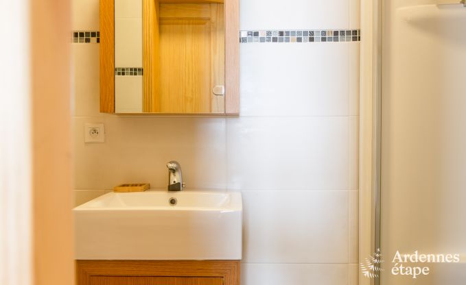 Ferienhaus Libramont 15 Pers. Ardennen