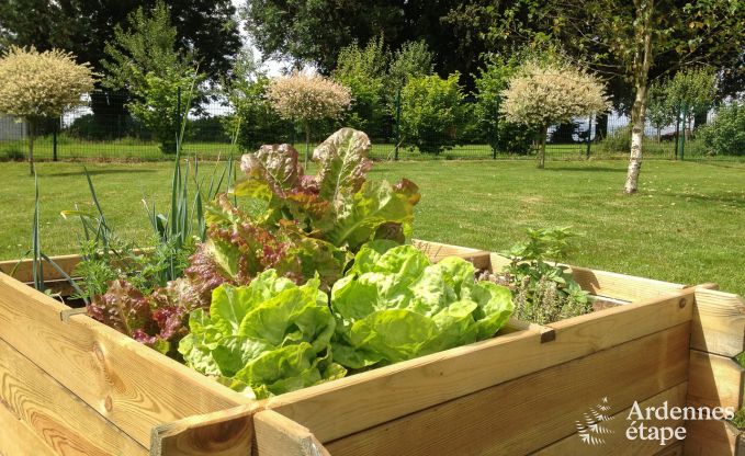 Ferienhaus Libramont 4/5 Pers. Ardennen