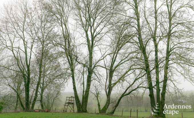 Ferienhaus Libramont 3 Pers. Ardennen
