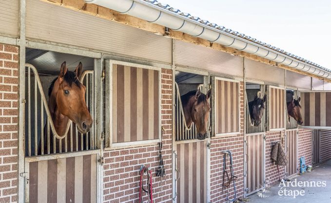 Ferienhaus Libramont 4/6 Pers. Ardennen Wellness Behinderten gerecht