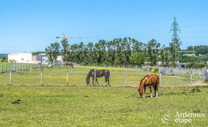 Ferienhaus Libramont 4/6 Pers. Ardennen Wellness Behinderten gerecht