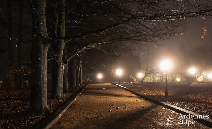 Ferienhaus Libramont 4/6 Pers. Ardennen Wellness Behinderten gerecht