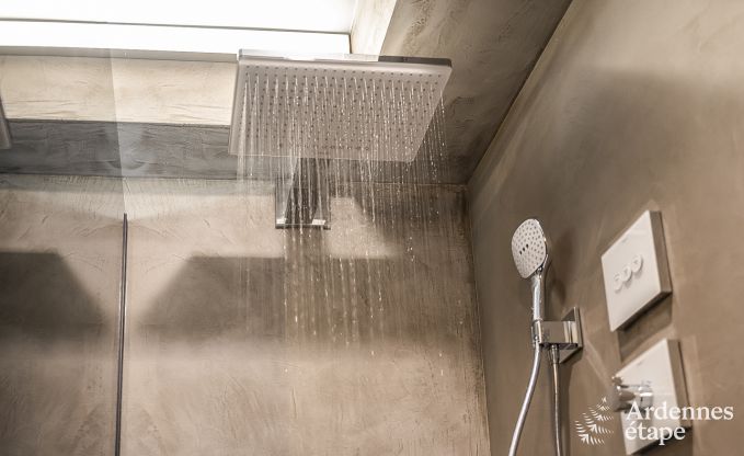 Ferienhaus Libramont 4/6 Pers. Ardennen Wellness Behinderten gerecht