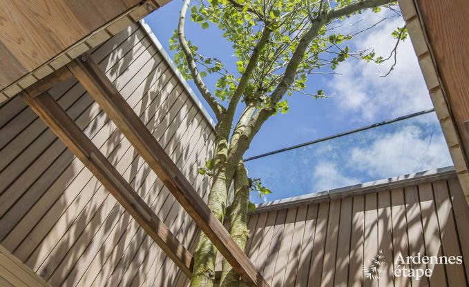 Ferienhaus f�r 15 Personen in Libramont mit Hallenbad, Sauna und privatem Garten am Wasser