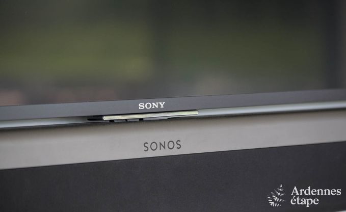 Ferienhaus f�r 15 Personen in Libramont mit Hallenbad, Sauna und privatem Garten am Wasser