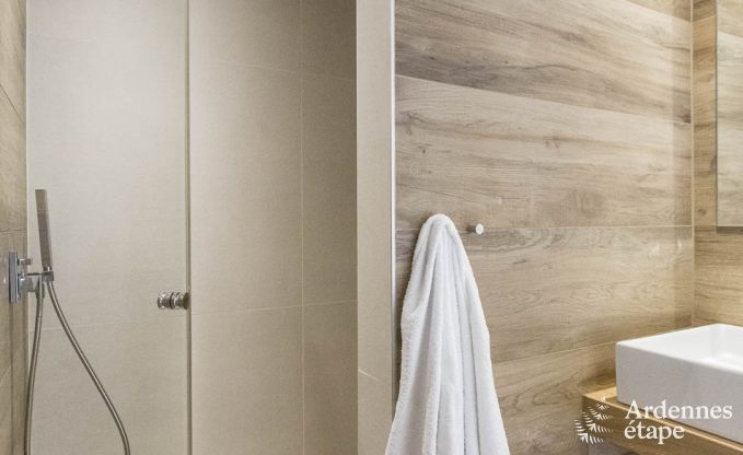 Ferienhaus f�r 15 Personen in Libramont mit Hallenbad, Sauna und privatem Garten am Wasser