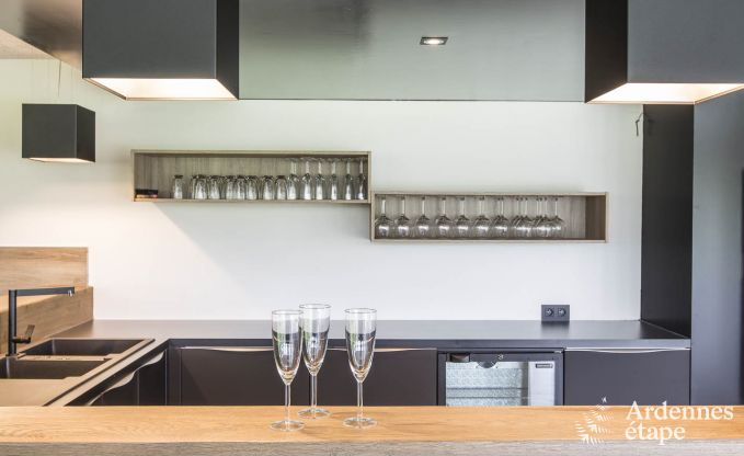 Ferienhaus f�r 15 Personen in Libramont mit Hallenbad, Sauna und privatem Garten am Wasser