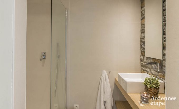 Ferienhaus f�r 15 Personen in Libramont mit Hallenbad, Sauna und privatem Garten am Wasser