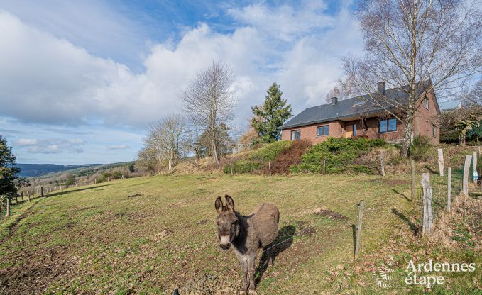 Gem�tliches und modernes Ferienhaus in Lierneux, Ost Ardennen