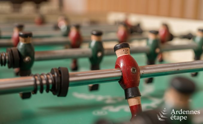 Ferienhaus Lierneux 15 Pers. Ardennen Wellness