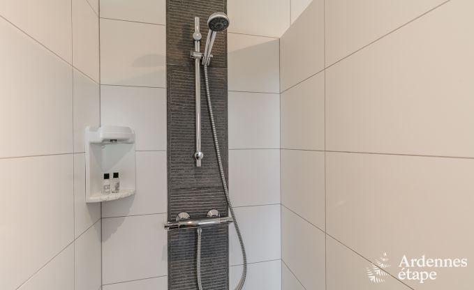 Ferienhaus Lierneux 8/10 Pers. Ardennen Wellness