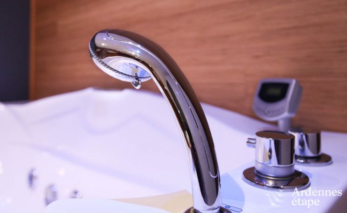 Luxusvilla Lierneux 9 Pers. Ardennen Wellness