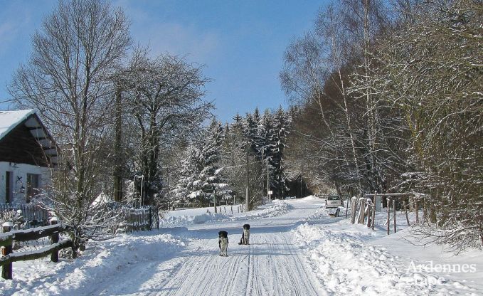 Luxusvilla Lierneux 9 Pers. Ardennen Wellness