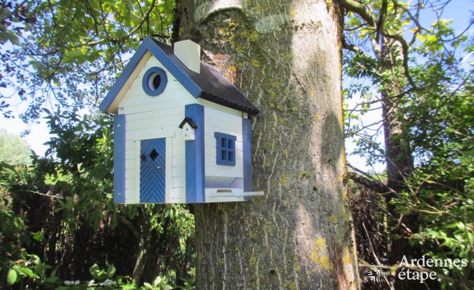 Luxusvilla Lierneux 9 Pers. Ardennen Wellness