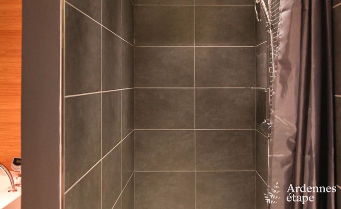 Luxusvilla Lierneux 9 Pers. Ardennen Wellness