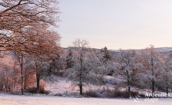 Ger�umige Villa f�r 12 Personen in Lierneux.