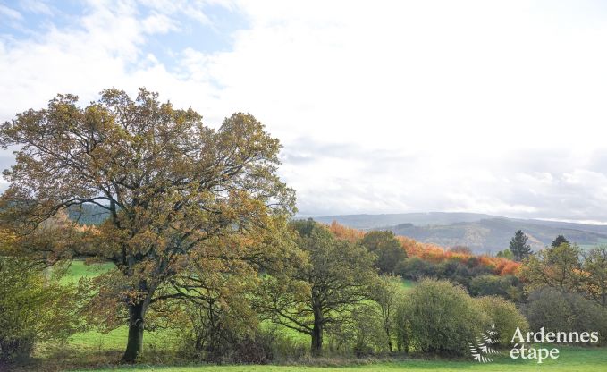 Ger�umige Villa f�r 12 Personen in Lierneux.