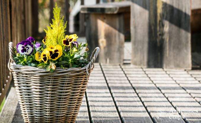 au�ergew�hnliche Ferienwohnung Lierneux 4/5 Pers. Ardennen