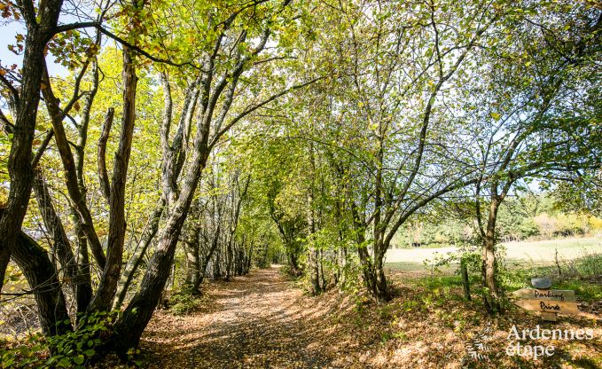 Chalet Lierneux 4/5 Pers. Ardennen