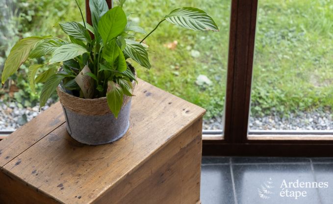 Ferienhaus Lierneux 8 Pers. Ardennen