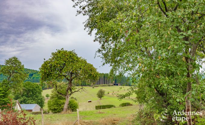 Ferienhaus Lierneux 4 Pers. Ardennen