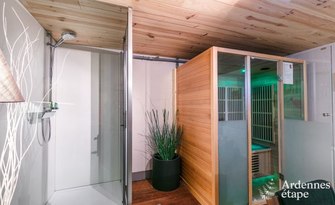 Ferienhaus Lierneux 8/10 Pers. Ardennen Wellness