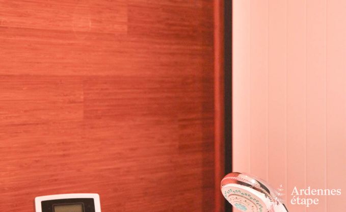 Luxusvilla Lierneux 9 Pers. Ardennen Wellness