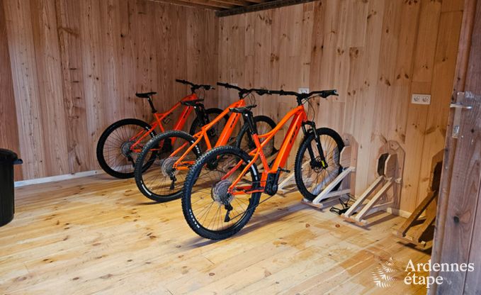 Ger�umige Villa f�r 12 Personen in Lierneux.