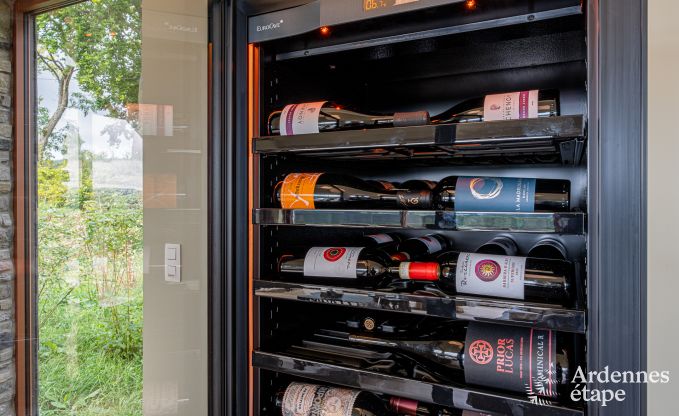 Ger�umige Villa f�r 12 Personen in Lierneux.