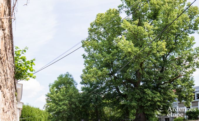 Ferienhaus Limbourg 2/4 Pers. Ardennen